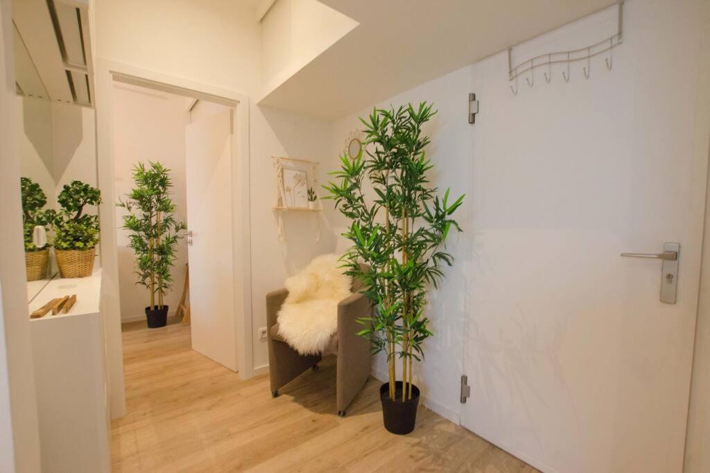 Casarina - Gemuetliches Apartment Im Zentrum Augsburg Luaran gambar