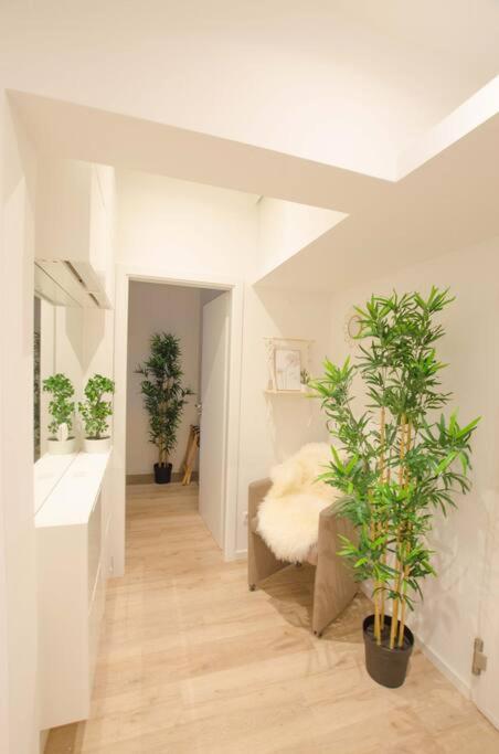 Casarina - Gemuetliches Apartment Im Zentrum Augsburg Luaran gambar